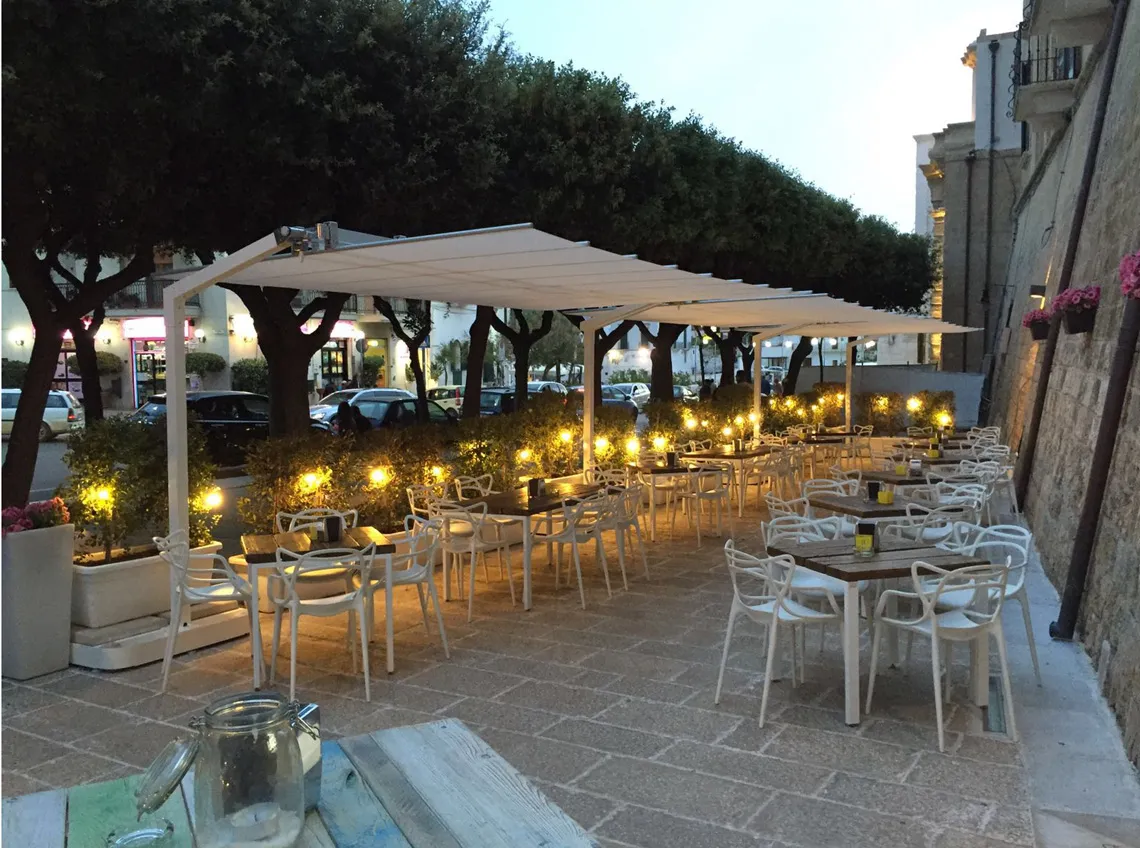 Proyecto ejecutado por VLM