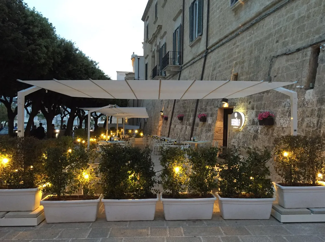 Proyecto ejecutado por VLM